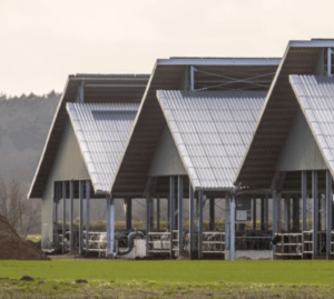 Farming Infrastructure